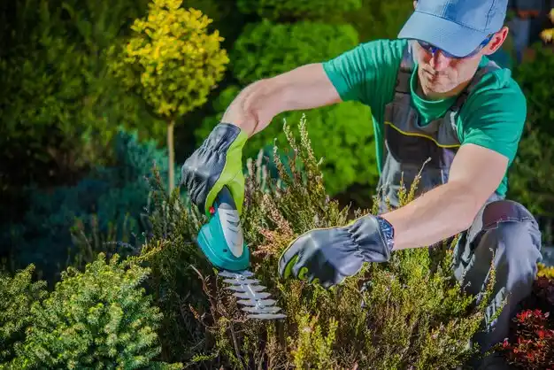 landscaping services Middleburg Heights